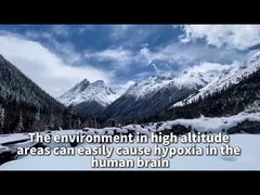 মালভূমি ব্যাপন অক্সিজেন জেনারেটর