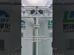 লুওমিং অক্সিজেন জেনারেটর - মূল উপাদান এবং সিস্টেম ডিজাইন